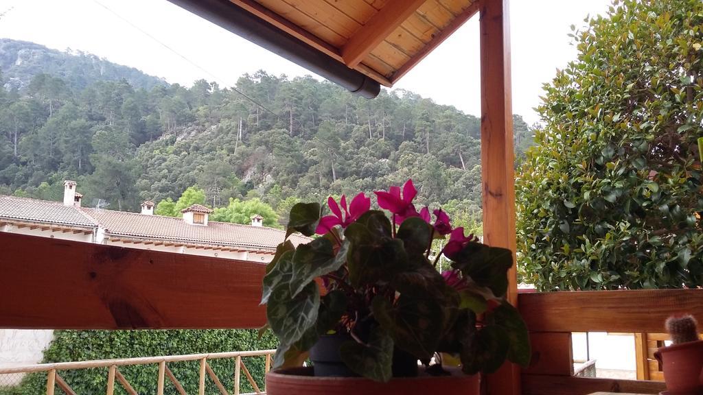 Cabanas De Madera El Rinconcillo Arroyo Frio Dış mekan fotoğraf