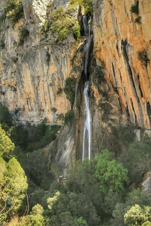 Cabanas De Madera El Rinconcillo Arroyo Frio Dış mekan fotoğraf
